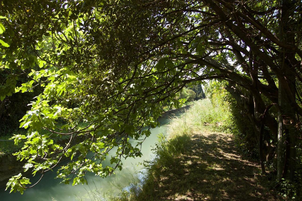 Le Mas Ferrand Graveson Exteriér fotografie