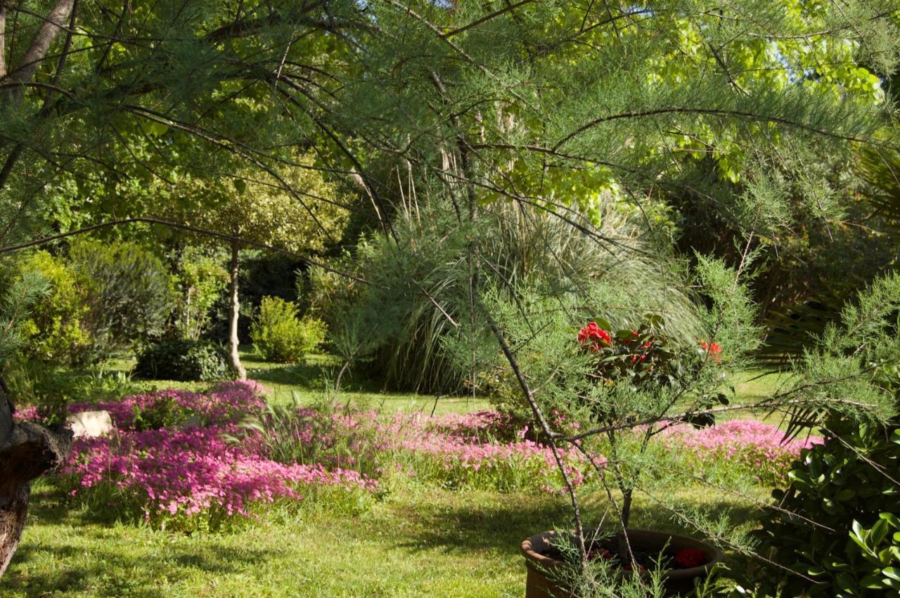 Bed and Breakfast Le Mas Ferrand Graveson Exteriér fotografie