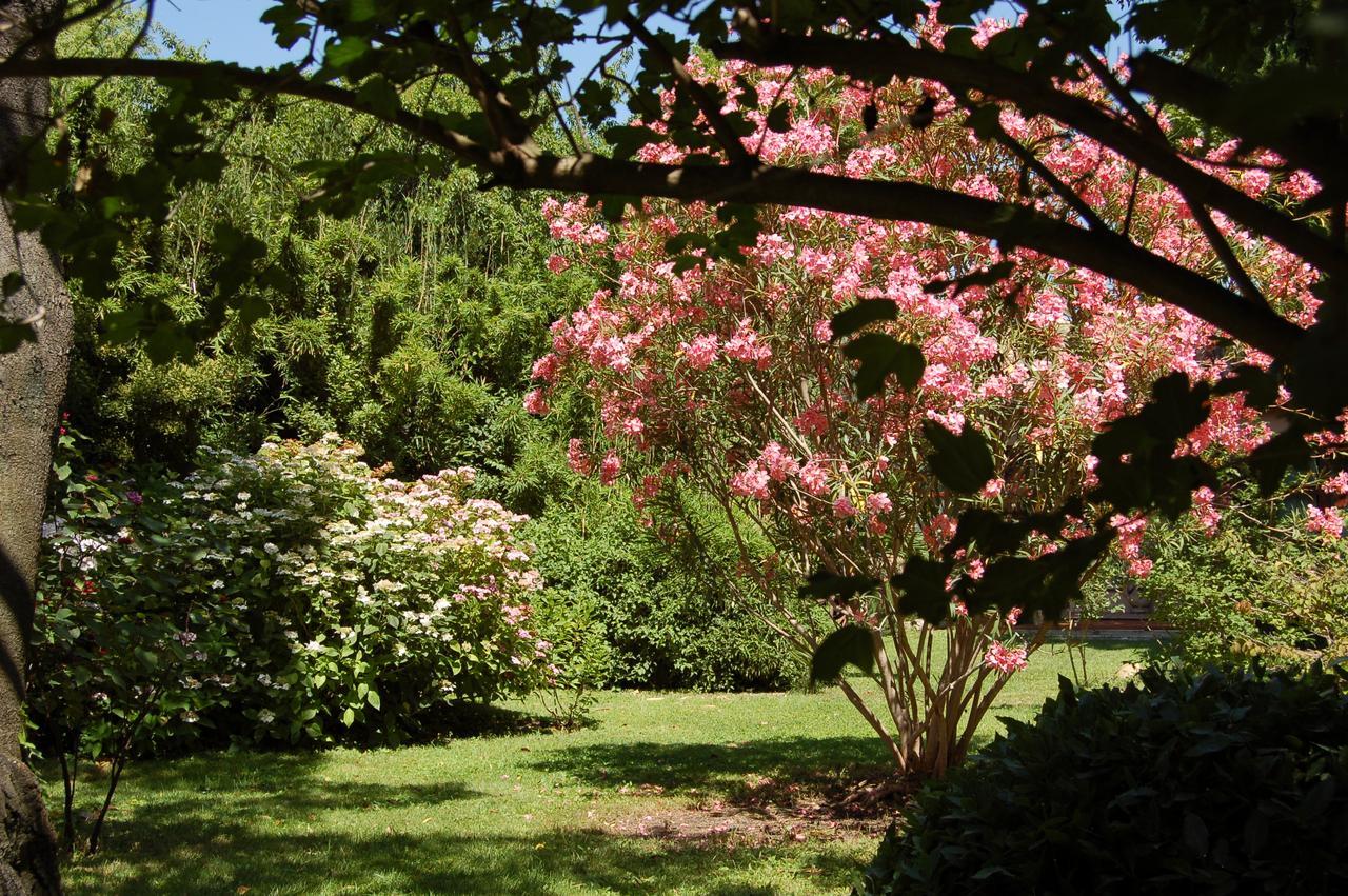 Bed and Breakfast Le Mas Ferrand Graveson Exteriér fotografie